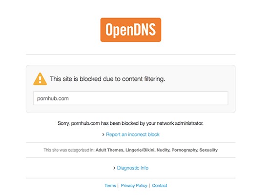 OpenDNS 家长控制电话应用程序